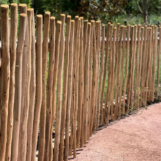 eucalyptus fencing outdoors