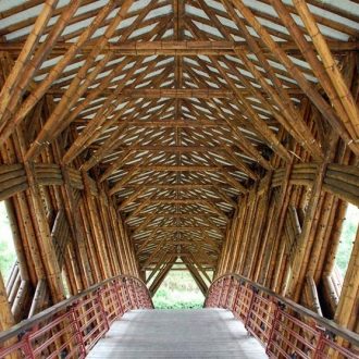 Guadua bamboo poles bridge