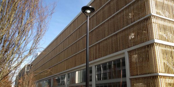 guadua bamboo poles decorating tilt up building