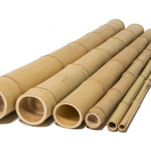 natural bamboo poles side view