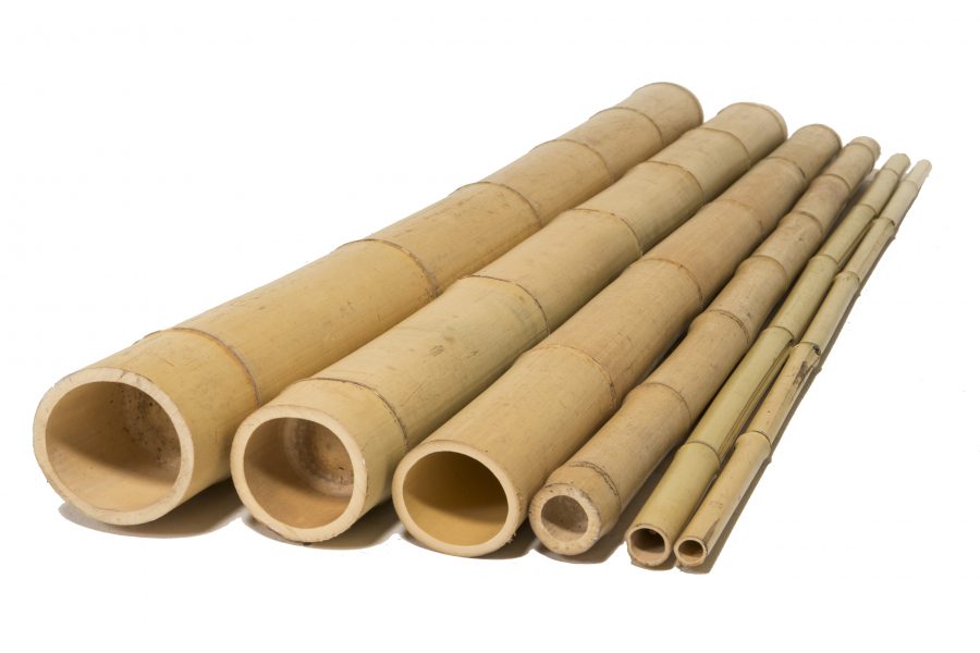 natural bamboo poles side view