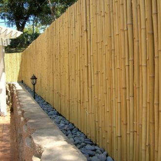 tonkin bamboo fencing in a backyard