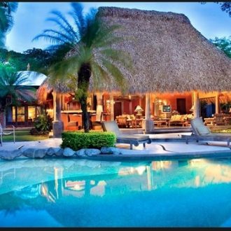 mexican palm thatch outdoor paradise