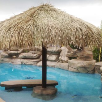 mexican thatch umbrella in a pool