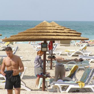 natural african reed beach umbrellas