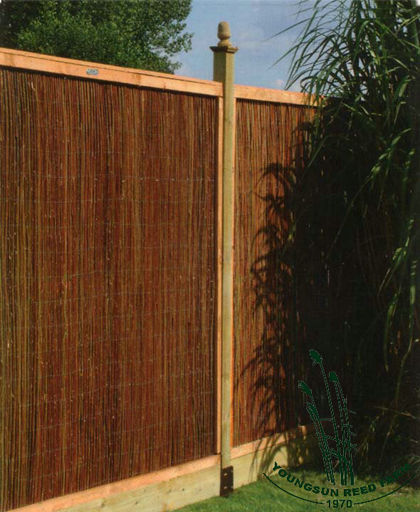 BYXS willow fencing