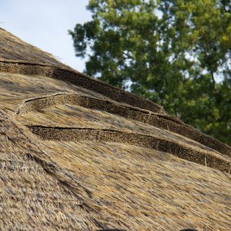 close up of viro sub reed and eave wads