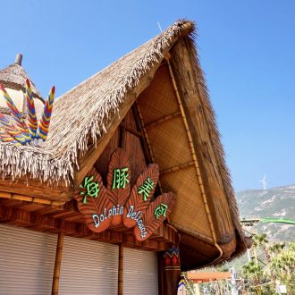 thatch on a commercial building roof