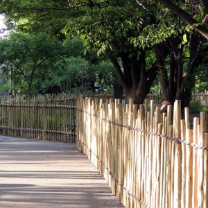 eucalyptus fencing along an outdoor walkway