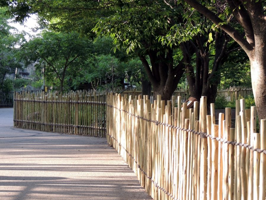 eucalyptus fencing along an outdoor walkway