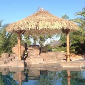 viro thatch on a poolside structure