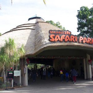 San Diego Safari Park viro reed front view