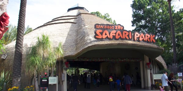 San Diego Safari Park viro reed front view