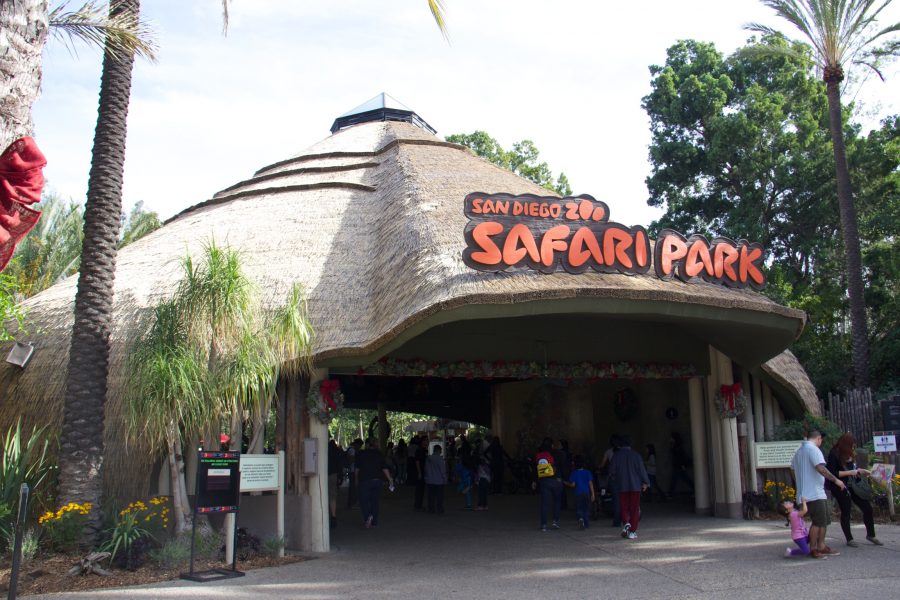 San Diego Safari Park viro reed front view