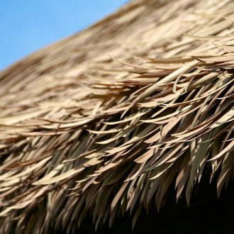 viro thatch roof