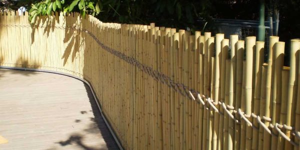 Solid bamboo fence at the Zoo