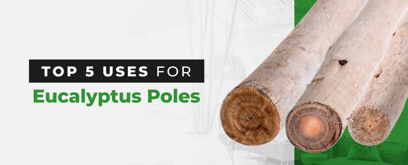 Top Uses for Eucalyptus Poles