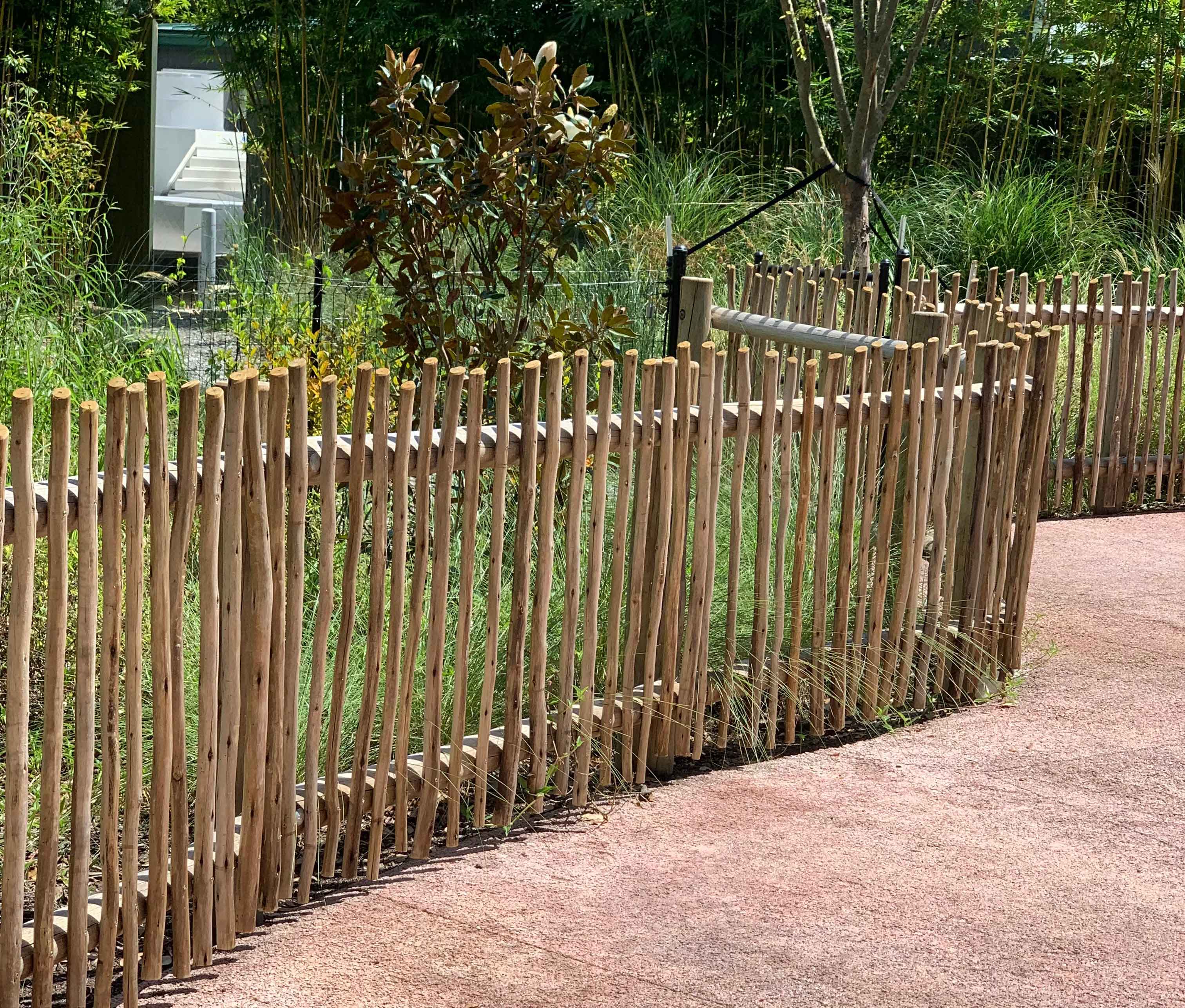 eucalyptus poles and fencing